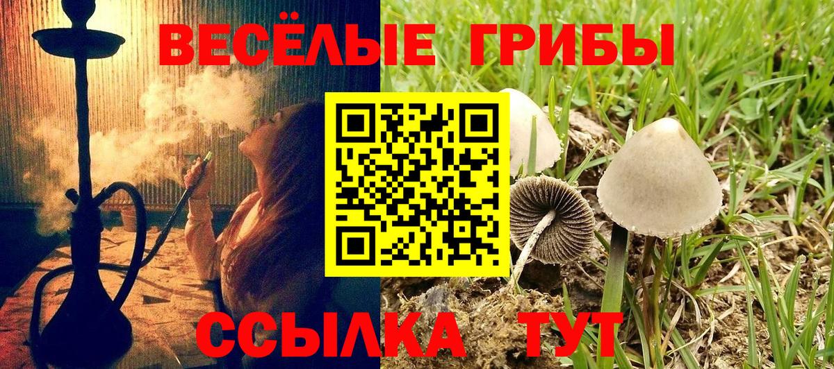Галлюциногенные грибы Magic Shrooms  Вход с VPN  Кандалакша 